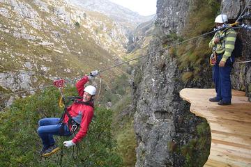 Zipline Canopy Day Tour