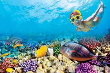Puerto Morelos Reef Snorkeling Tour with Private Beach Club Lunch