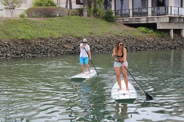 Guided SUP or Kayak Tour