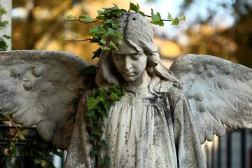 Dark secrets of Bucharest half day tour with Bellu cemetery included