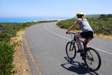 Full Day Cape Point and Peninsula Tour