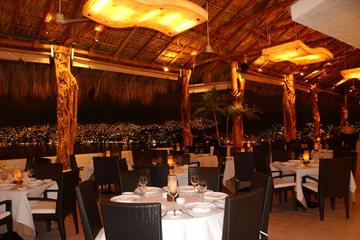 Acapulco by Night