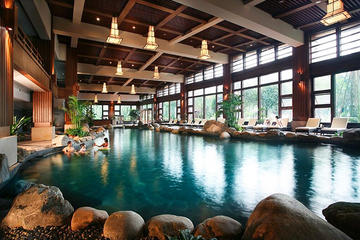 Chengdu Private Tour of Dujiangyan Panda Base and Qingcheng Hot Springs, Including Lunch