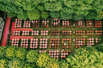 Private Exclusive Sichuan Spicy Cuisine Day Tour with Cooking Demonstration and Tea Tasting