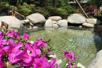 Private Tour: Xian Terracotta Warrior Museum and Angsana Xian Lintong Hot Springs