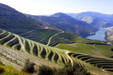 Full-Day Douro Valley Discovery Including Raposeira Caves and Wine Tasting