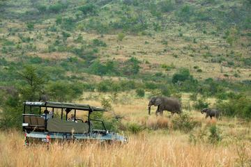 2 Nights Safari-KwaMaritane Bush Lodge Safaris form Johannesberg or Pretoria