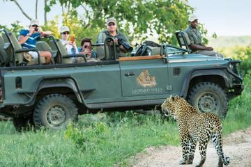 3Days LEOPARD HILLS PRIVATE GAME RESERVE SAFARIS from Johannesberg or Pretoria