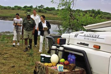 3night-4days Madikwe River Lodge-Madikwe Game Reserve from Johannesburg Pretoria