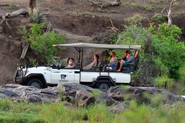 3nights-4days Madikwe River Lodge Fly In Safari Package-Madikwe Game Reserve