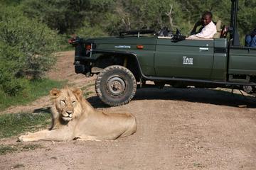 3nights-4days Tau Game Lodge-Madikwe Game Reserve from Johannesburg or Pretoria