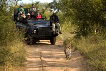 3nights Lion Sands River Lodge - Lion Sands Game Reserve from Johannesburg