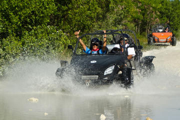 Buggy Tour to Rancho Macao