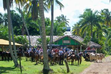 Playa Limon Day Trip from Punta Cana