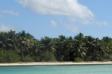 Saona Island Day Trip