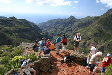 La Gomera's Forest of Fables National Park Tour