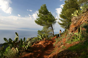 La Gomera Wild North West Tour
