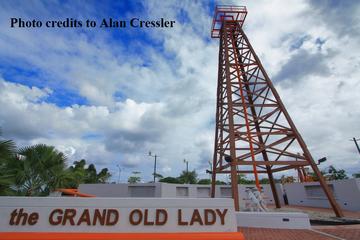 Crossed Border Excursion Ex Brunei : Miri City Self or Guided Excursion