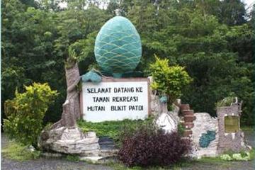 Full Day Nature Excursion to Bukit Patoi Temburong