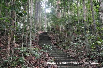 Full Day Sungai Liang Forest Reserve Nature Escapade