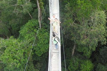 Full Day Temburong National Park Nature Escapade