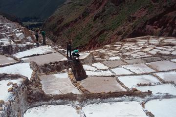 Half Day Maras y Moray Tour