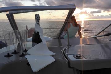 Whale Watching Private Tour Including Drinks