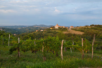 HALF DAY HILLS OF GORISKA BRDA AND ITALIAN PLAINS TOUR