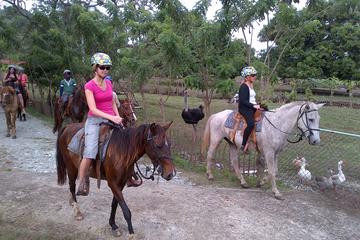 Glide and Ride Adventure from Puerto Plata