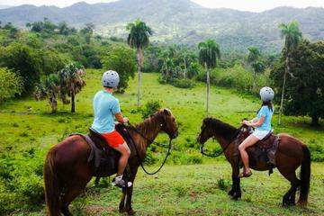 Shore Excursion: Glide N' Ride - Zip Lines & Horseback riding