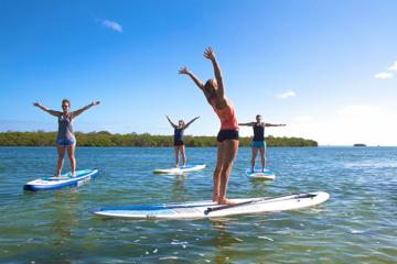 Day Trip 90 Minute SUP Yoga Class near Key Largo, Florida 
