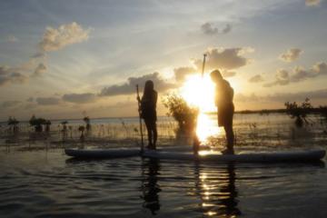 Day Trip Sunset Paddleboard Tour near Key Largo, Florida 