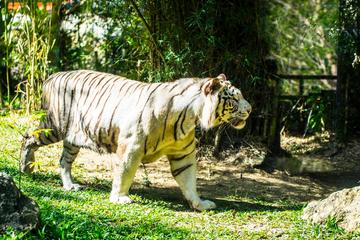 Cebu Safari and Adventure Park