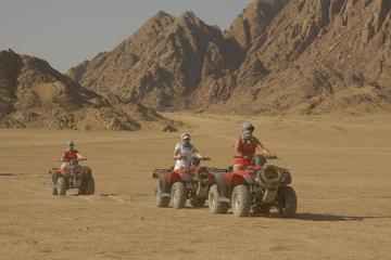 Super Safari 5 In 1quad Camel Ride Dinner African Nubian show star gazing
