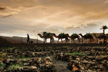 2-Hour Sunset Photography Tour in Western Lanzarote