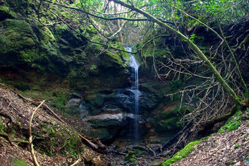 3-Hour Hiking Route in Anaga