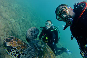 3-Hour Scuba Diving Baptism at Sardina del Norte in Gran Canaria