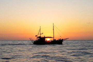 4-Hour Boat Trip by the Coastline in La Palma