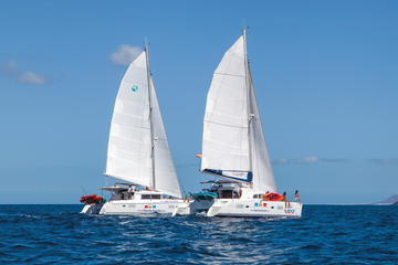 4-Hour Luxurious Boat Trip to Isla de Lobos from Fuerteventura
