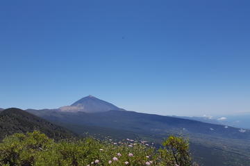 4-hour Walking Route to Teide National Park