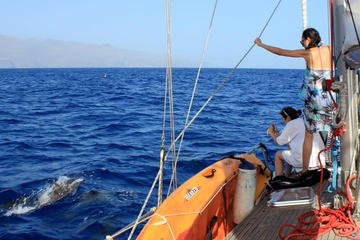 4 or 7-hour Experience on Sailboat from Valle Gran Rey