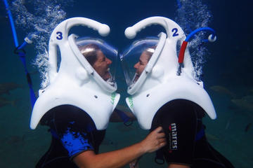 40-minute Lanzarote Sea Trek Diving Experience