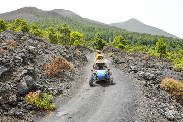 6-hour Buggy Route through the volcanoes of La Palma