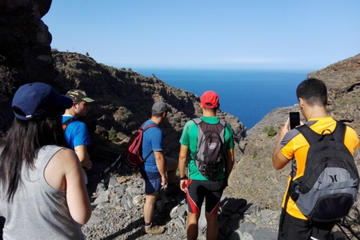 6-hour Hiking Route and Dolphin Watching in La Palma