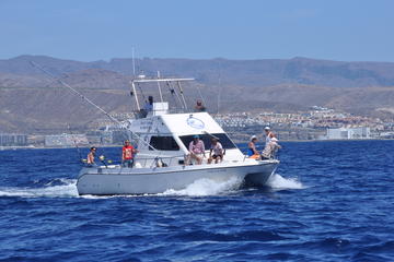6-Hour Sport Fishing at Puerto Rico in Gran Canaria