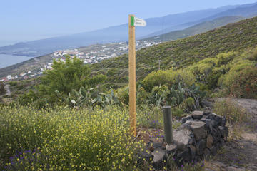 6-Hour Trekking Tour through the famous old road in Candelaria
