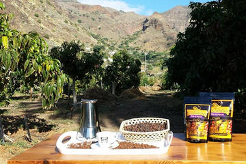 90-Minute Coffee Production Tour at Finca los Castaños in Gran Canaria