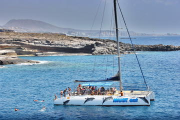 Catamaran Excursion at Las Galletas in Tenerife