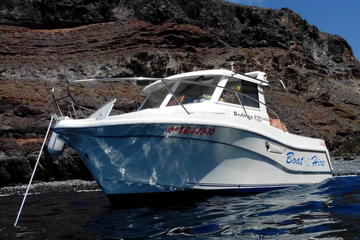 Exclusive Boat Trip for 5 people in La Gomera