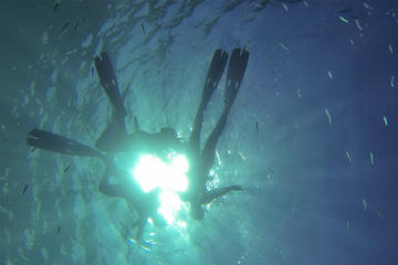 Sardina del Norte Snorkeling Experience from Las Palmas de Gran Canaria
